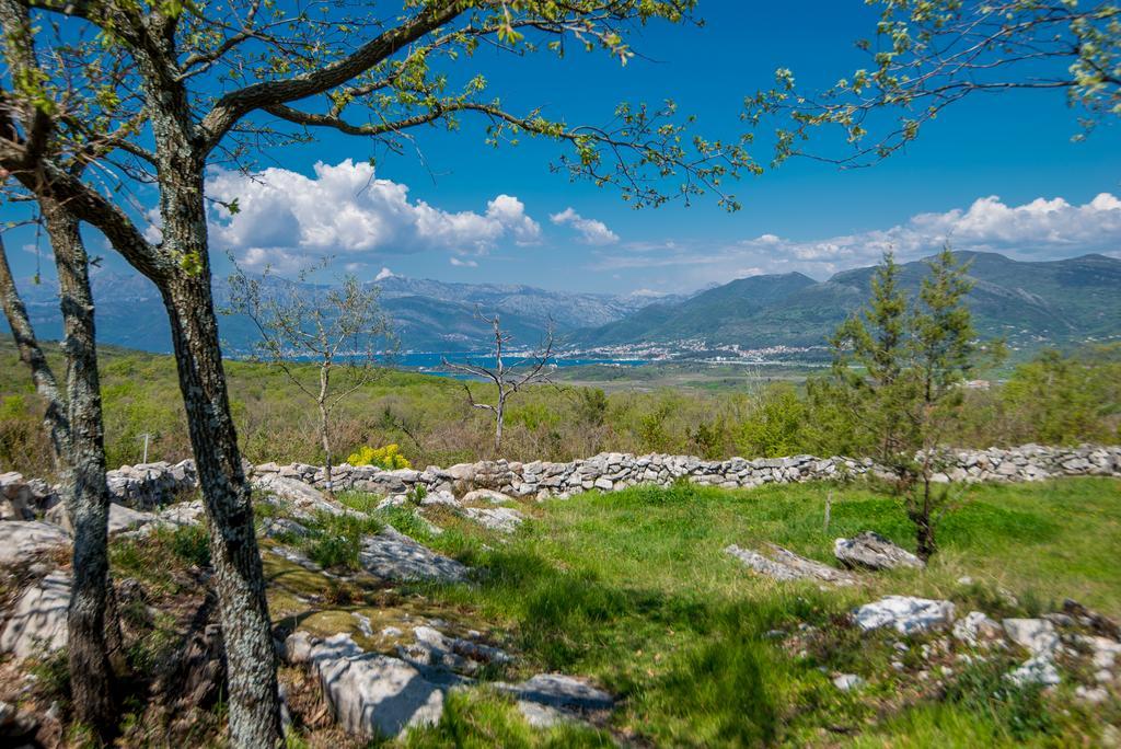 农牧区山林土地纠纷 共用牧道占为己有如何调节处理